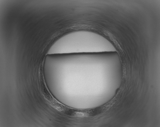 X0000084550167200702230944