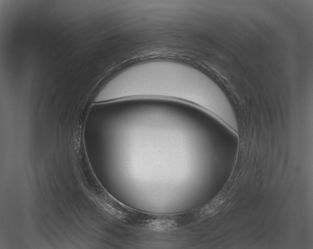 X0000084550168200702230944