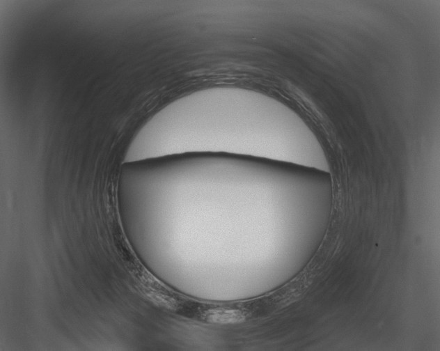 X0000084550169200702230944