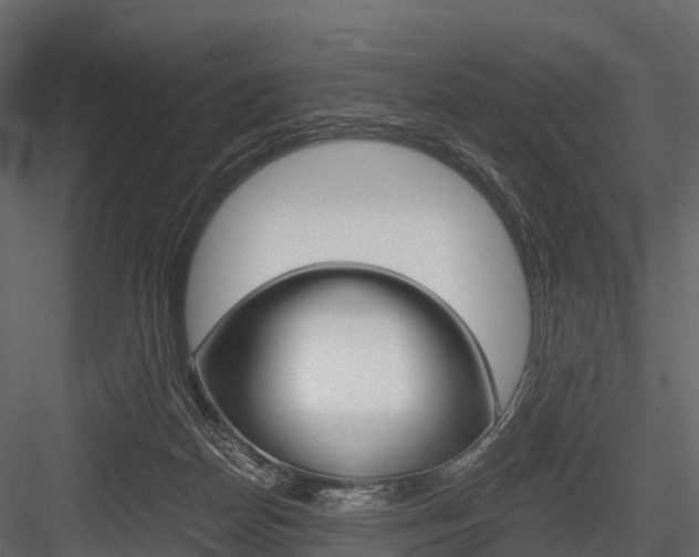 X0000084550170200702230944