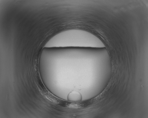 X0000084550171200702230944