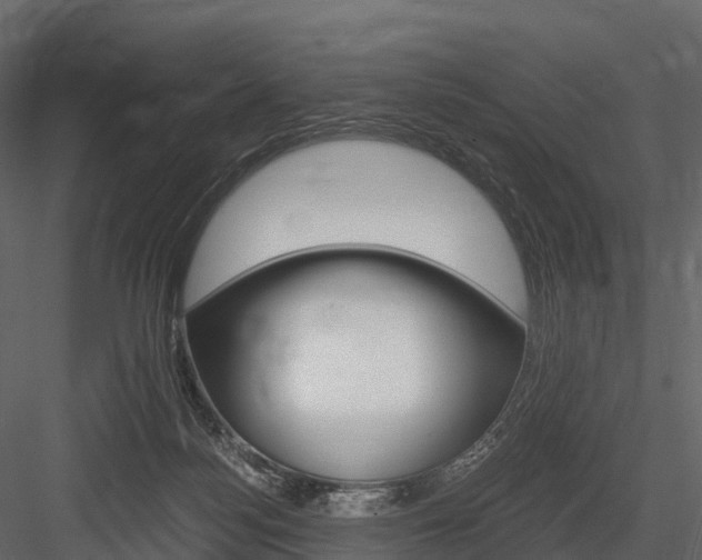 X0000084550172200702230944
