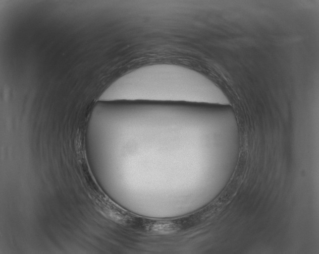 X0000084550173200702230944