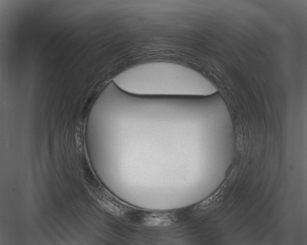 X0000084550175200702230944