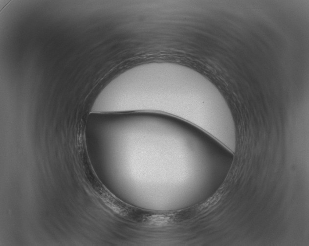 X0000084550176200702230944