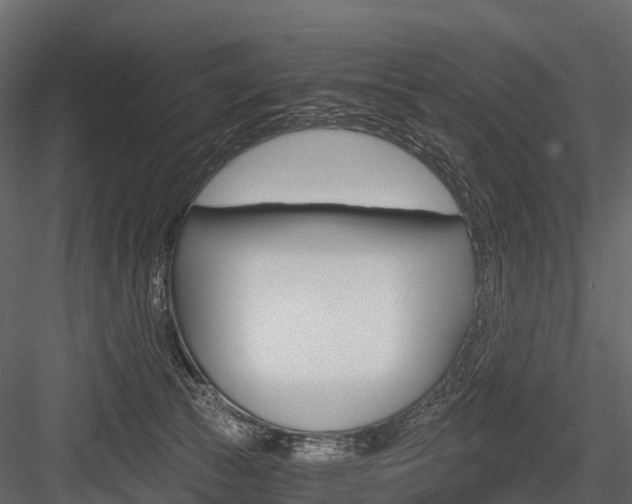 X0000084550177200702230944