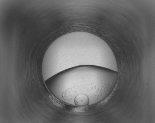 X0000084550178200702230945