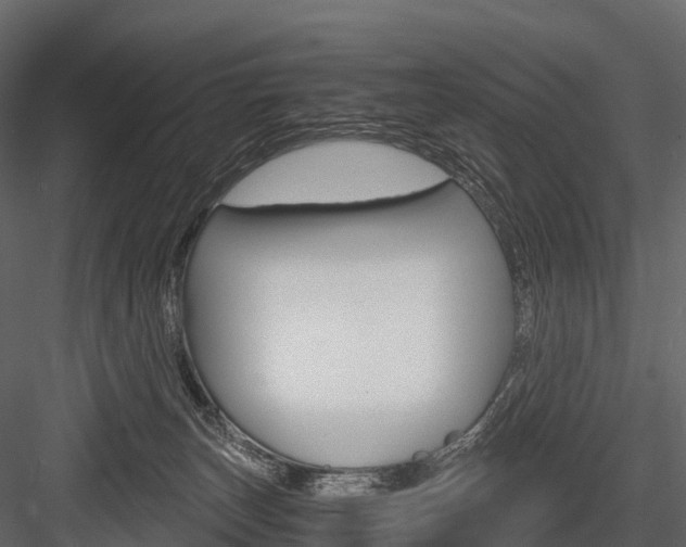 X0000084550179200702230945