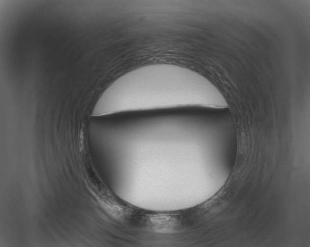 X0000084550183200702230945