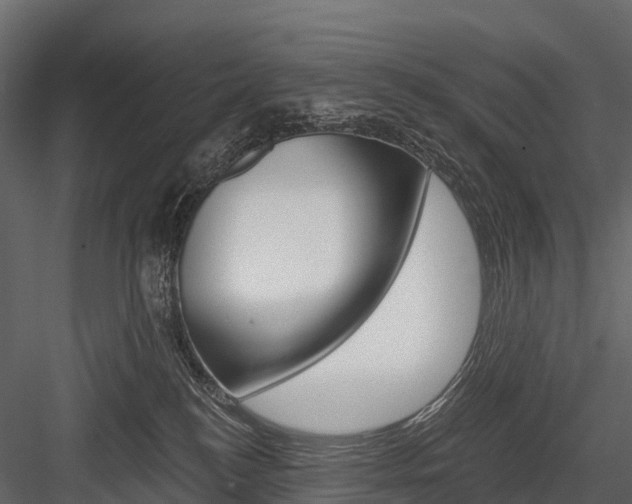 X0000084550184200702230945