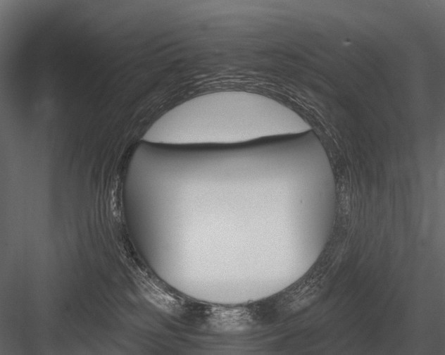 X0000084550185200702230945