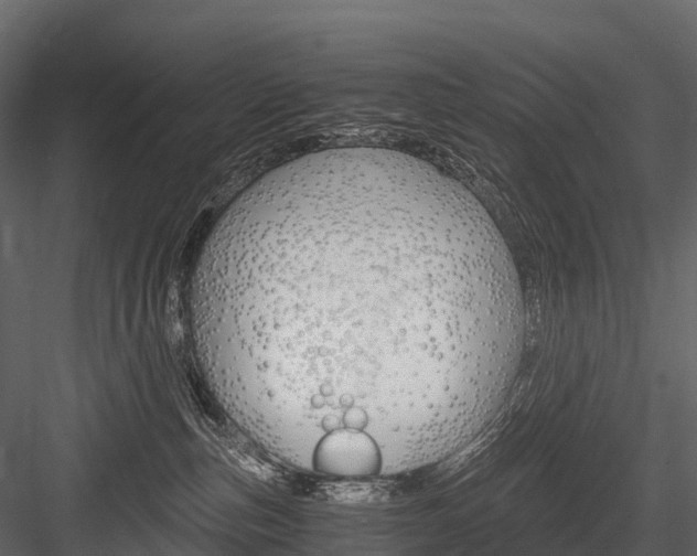 X0000084550187200702230945