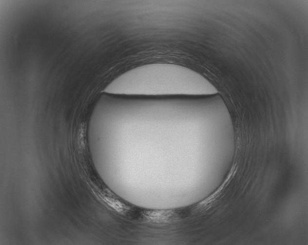 X0000084550191200702230945