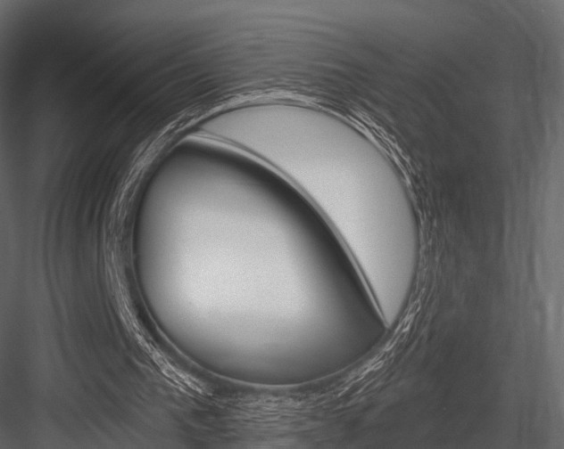 X0000084550193200702230944