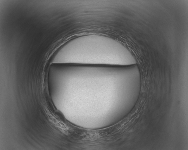 X0000084550194200702230944