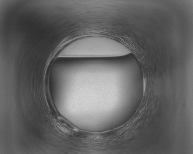 X0000084550195200702230944