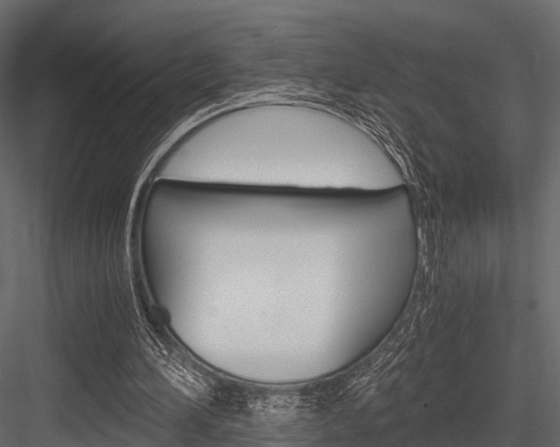 X0000084550196200702230944