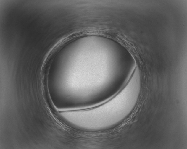 X0000084550197200702230944