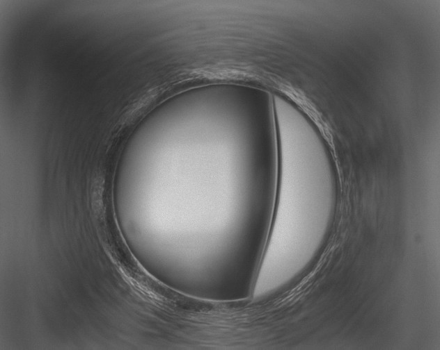 X0000084550201200702230944