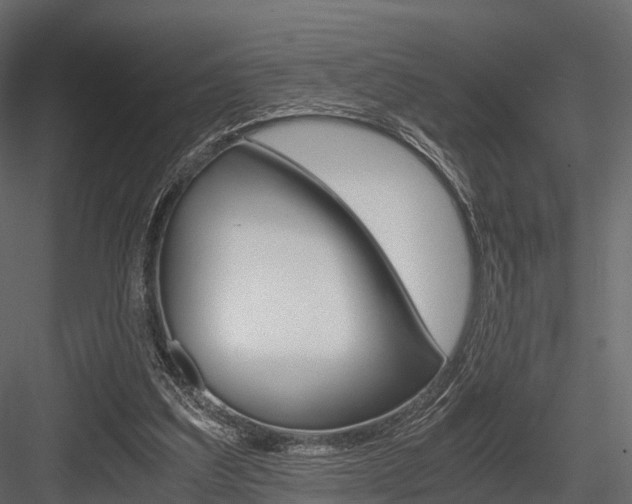 X0000084550203200702230944