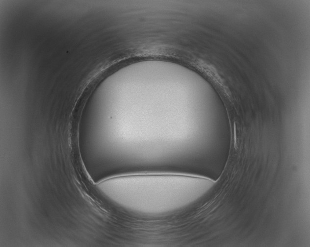 X0000084550204200702230944
