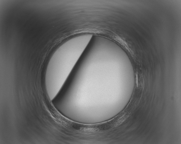 X0000084550205200702230944