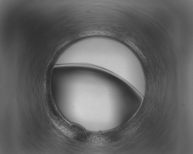 X0000084550207200702230944