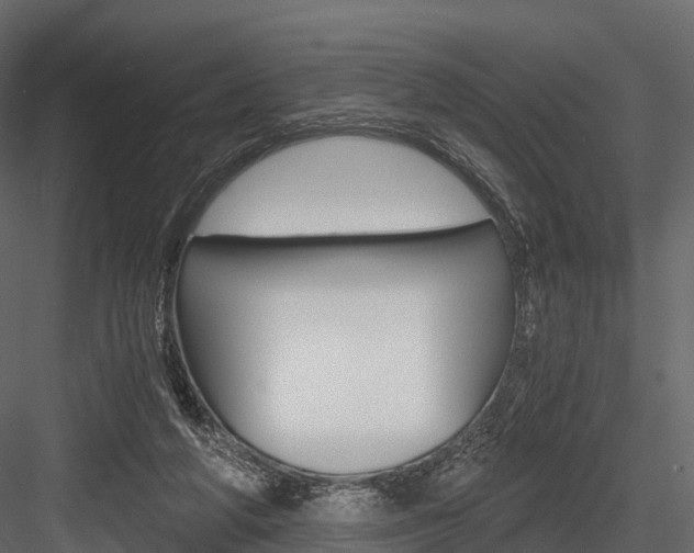 X0000084550210200702230944