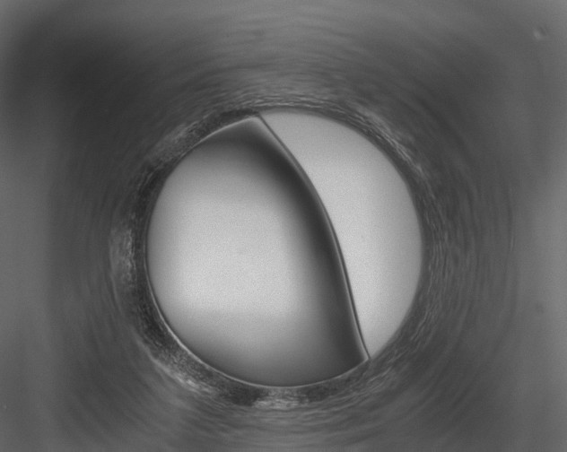 X0000084550211200702230944