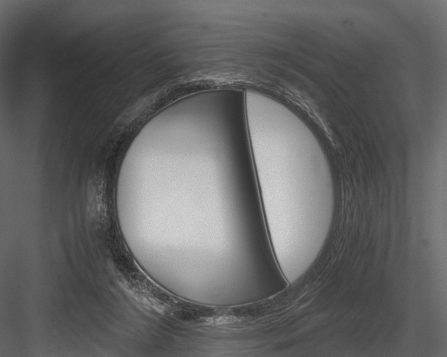 X0000084550212200702230944