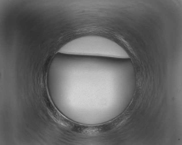 X0000084550213200702230944