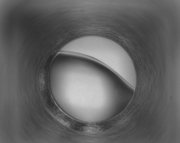 X0000084550215200702230944