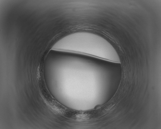 X0000084550216200702230944