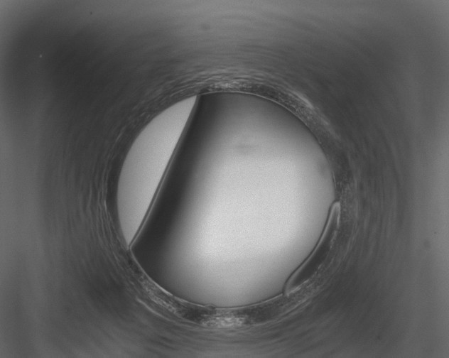 X0000084550217200702230944