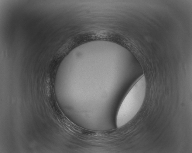 X0000084550223200702230943