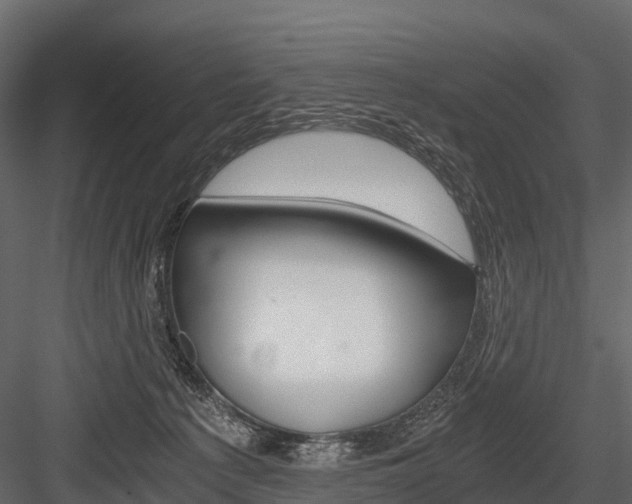 X0000084550225200702230943