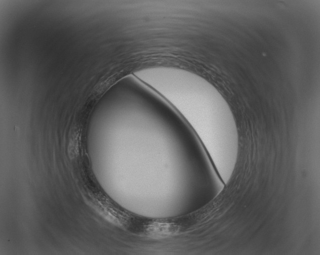 X0000084550227200702230943