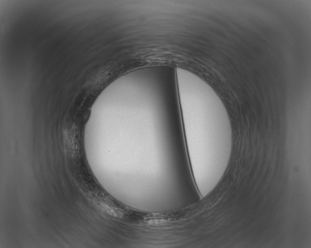 X0000084550228200702230943