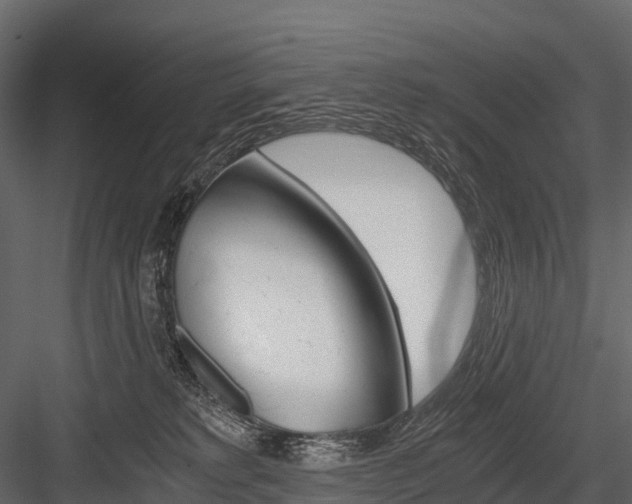 X0000084550229200702230943
