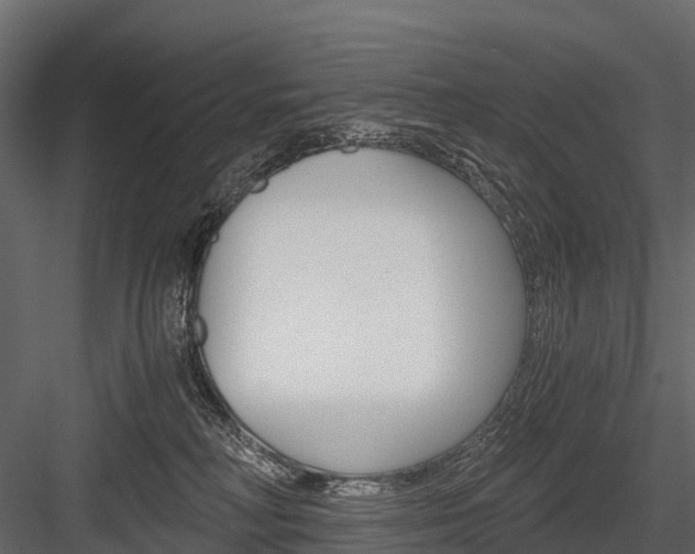 X0000084550230200702230943
