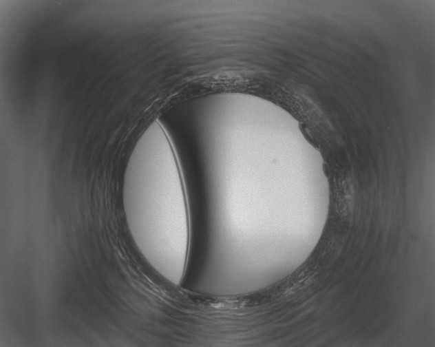 X0000084550232200702230943