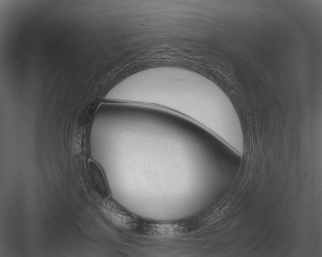 X0000084550233200702230943