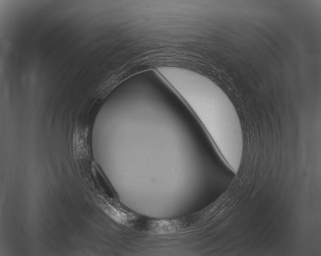 X0000084550239200702230943
