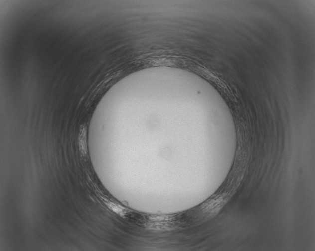X0000084550240200702230943
