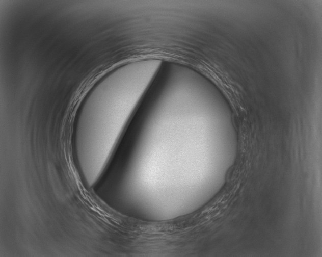 X0000084550241200702230942