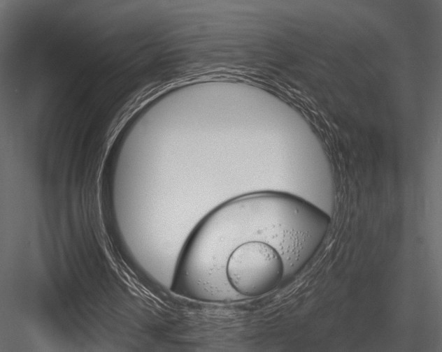 X0000084550242200702230942