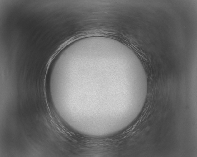 X0000084550244200702230942