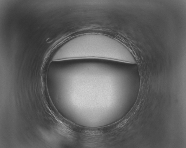 X0000084550245200702230942
