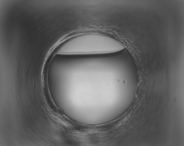 X0000084550246200702230942