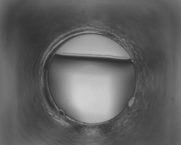 X0000084550247200702230942